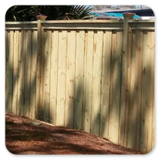 Premium Board on Board Cap Wood Privacy Fence